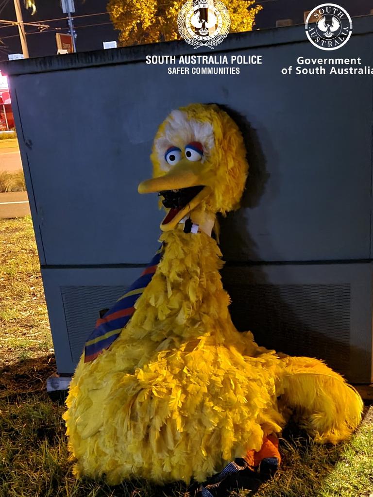 The suit was found propped up against a dumpster on Wednesday morning, with an apology note in its beak. Picture: SA Police