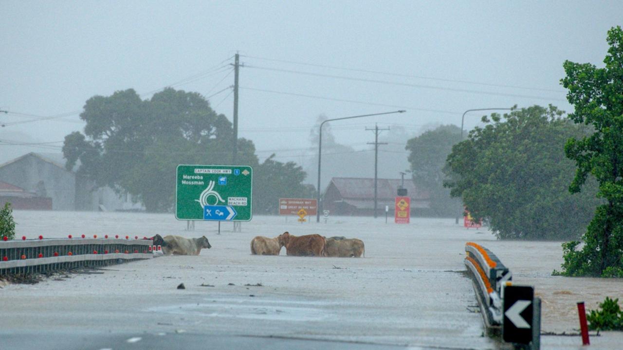 Up to a metre’s rain has fallen in some parts of Far North Queensland. Picture: Supplied Cockatours