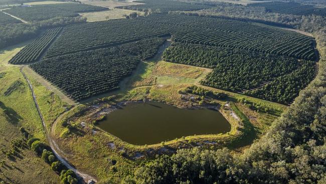 Winfield is one of two established macadamia orchards situated on 1512ha in Bundaberg that have been put up for sale and marketed by the Colliers Agribusiness team.