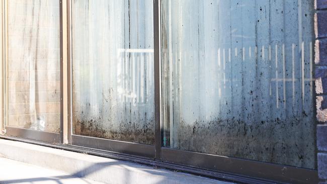 Mould in a window of the South Hobart unit complex. Picture: ZAK SIMMONDS