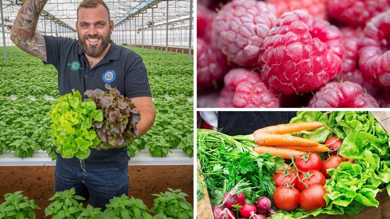 Fruit and vegetable prices: Raspberries, lettuce, carrot boom: Cheap ...