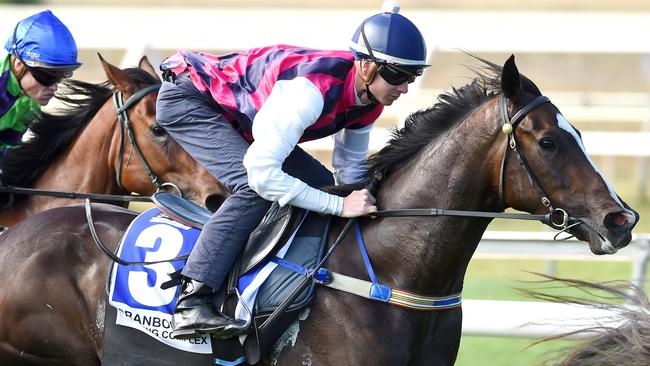 Classic Diva looks a great each-way chance in the third race at Caulfield. Picture: Nicole Garmston