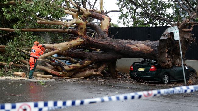 A mini tornado has hit Hornsby in the Hornsby Westfield area. Storm damage from a tree falling over onto several cars on Station St, Hornsby.