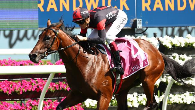 Fully Lit could give syndicators Redfox Racing a day to remember in the Golden Slipper on Saturday. Picture: Jeremy Ng/Getty Images