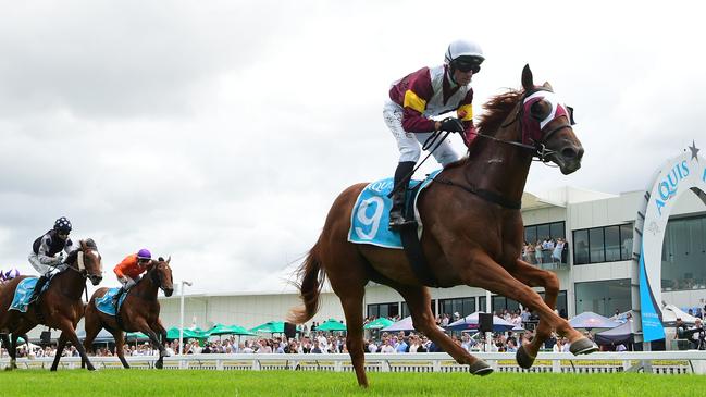 Two-year-old Swift Witness scores easily at the Gold Coast on Saturday. Credit: Grant Peters, Trackside Photography