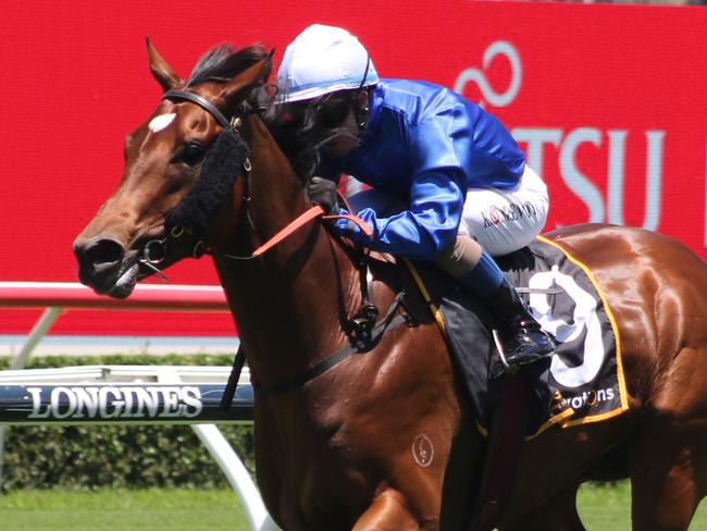 Bacchanalia can end the day on a high note at Randwick. Picture: Grant Guy