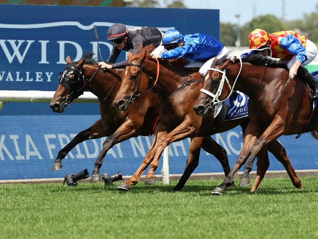 SYDNEY, AUSTRALIA - FEBRUARY 01: Regan Bayliss riding The Playwright win Race 4 Widden Stakes during Sydney Racing at Rosehill Gardens on February 01, 2025 in Sydney, Australia. (Photo by Jeremy Ng/Getty Images)