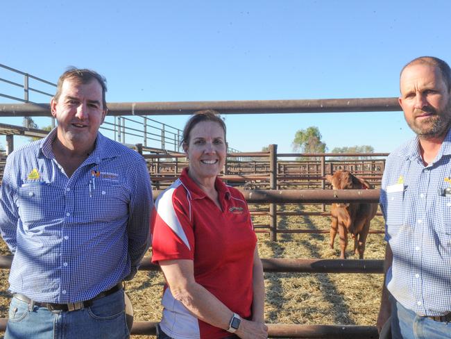 David Eagleson, Ginette Jenkin and Peter Daniel with the steer that was purchased for $1300. All proceeds will go towards the Royal Flying Doctor Service. Picture: SATRIA DYER-DARMAWAN