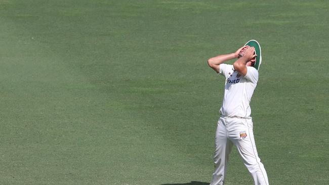 Joe Burns of the Bulls reacts during day 4 of the Sheffield Shield match between the Queensland Bulls and the Tasmania Tigers. Pic Darren England.