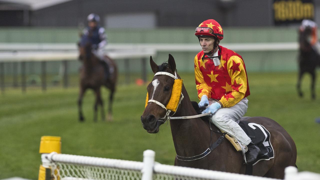 Motomiss and jockey Justin Stanley win race one at Clifford Park, Saturday, July 25, 2020. Picture: Kevin Farmer