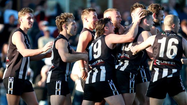 Darley celebrates kicking the winning goal in last year’s grand final. Picture: Hamish Blair