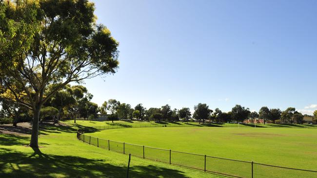 Vast numbers of trees, and much open space, has been lost in the past decade.