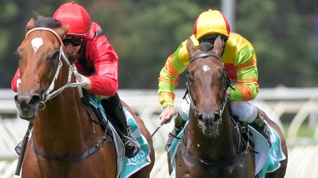 Gem Song will target the Randwick Guineas in the autumn. Picture: AAP 