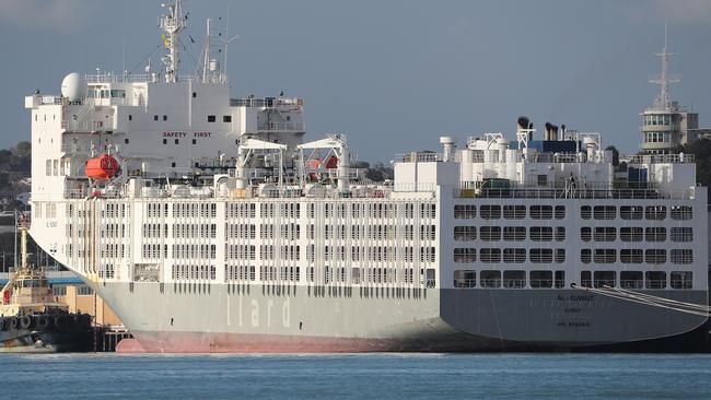 The Al-Kuwait is pictured in Fremantle Harbour. Picture: Paul Kane/Getty Images.