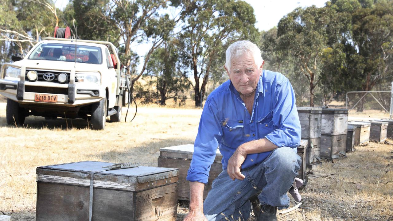 Peter Davis, who owns the Island Beehive honey business, with some of the hives he managed to save from the fire. Picture: Dean Martin