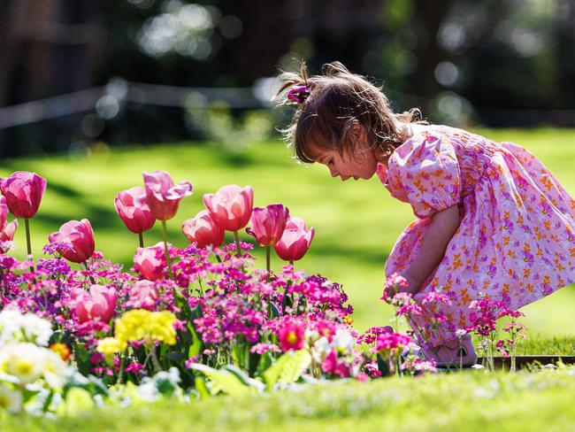 Mr Efron said the weekend and early next week was Melbourne’s ‘first taste’ of spring. Picture: Aaron Francis