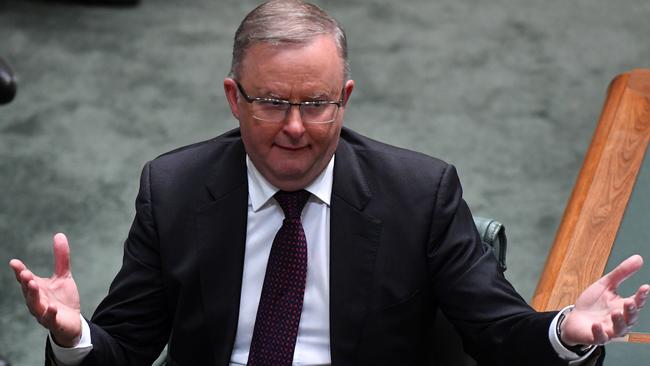 Opposition Leader Anthony Albanese. Picture: Getty Images