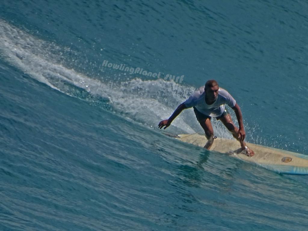 Surfer Joe Hoffman suffered a severe arm injury at Crescent Head Beach. Source: Facebook