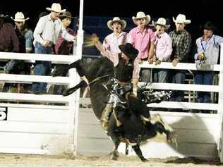 Chinchilla cowboy Anthony Ellem on Rockstar competes in the bull ride during the National Rodeo Association National Finals Rodeo at Brothers Leagues Club. Picture: Contributed