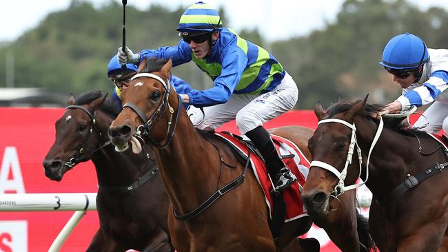 SYDNEY, AUSTRALIA - OCTOBER 12: Beau Mertens riding Attrition wins Race 7 Toyota Forklifts Hill Stakes during Sydney Racing at Rosehill Gardens on October 12, 2024 in Sydney, Australia. (Photo by Jeremy Ng/Getty Images)