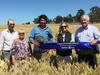 Award-winning crop still thrives amid frost