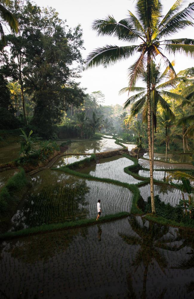 Pictures from #Green2020, Agora’s latest online photo contest. 'Rice fields' by @michelle.wandering (Netherlands).