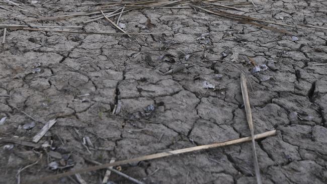 The drought has affected many communities, with people losing jobs and their livelihoods. Picture: AAP Image/Lukas Coch