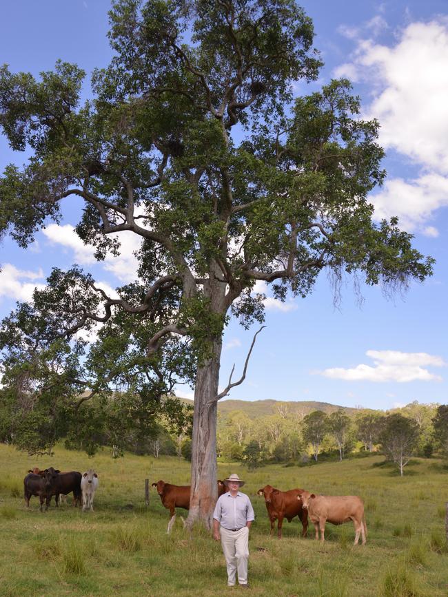 David Foote on Tandarra. Pictures: John Elliott