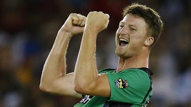 Jackson Bird is coming back to the Melbourne Stars. Picture: Wayne Ludbey