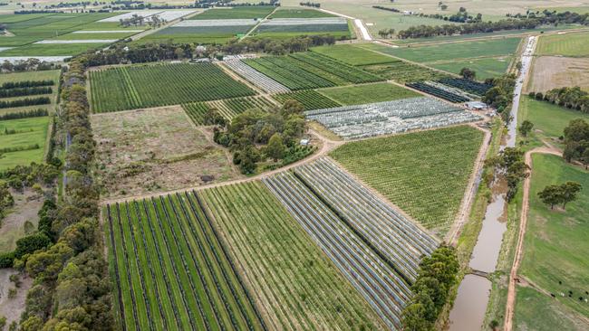 Five Victorian farming families are selling a 354ha aggregation of fruit farms.