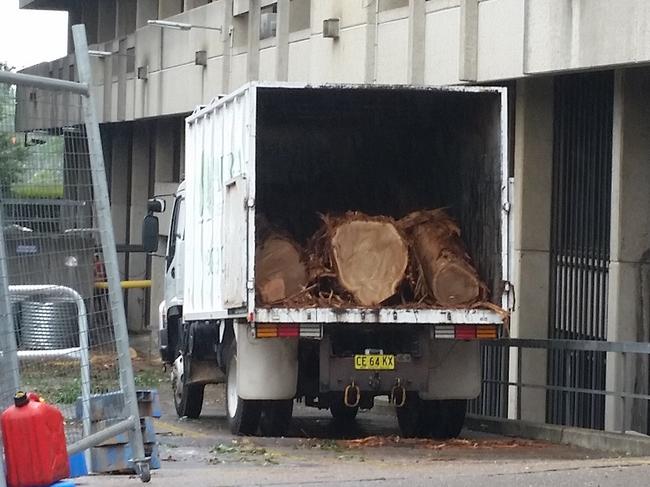 A truck takes away a massive tree trunk in Epping last week.