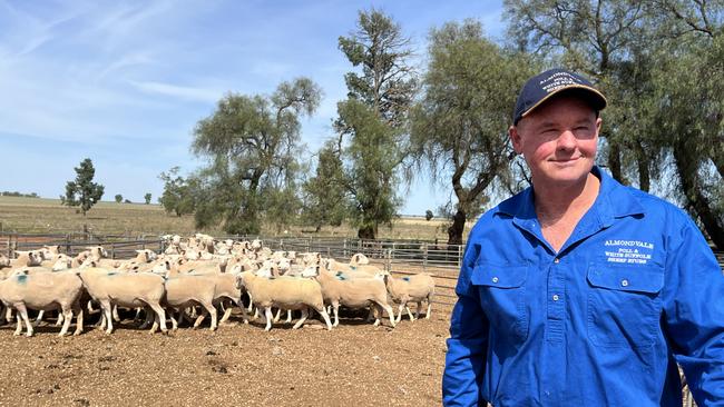 Paul pictured with some White Suffolk ewes. Picture: Nikki Reynolds