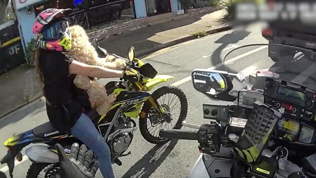 A motorcyclist with a dog on a bike is pulled over by police on the Sunshine Coast.