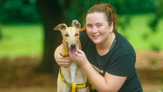 Sara Rowe with "Sherbie" an adoptable Greyhound as The Greyhound Rehoming Association NT is expecting an influx of dogs coming off the track soon. Picture GLENN CAMPBELL
