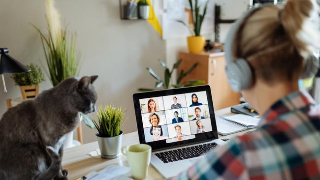 Generic work from home photo for SAWeekend. Portrait of modern woman at home teleconferencing with colleagues while cuddling her cat. Picture: iStock