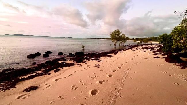 Human footprints alongside bird prints