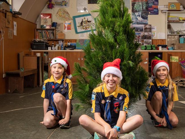 29-11-2023 1st Barwon Heads Scouts Pippa and Jess Edwards with Tessa Dalton and the Xmas trees they are selling as their major fundraiser. Picture: Misha Fleet