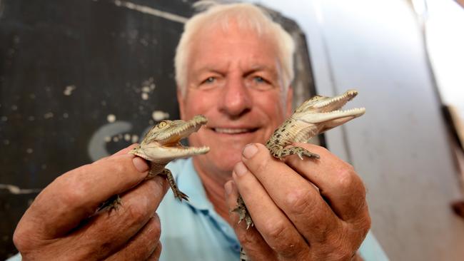 Koorana Crocodile Farm's John Lever with two new croc hatchlings.