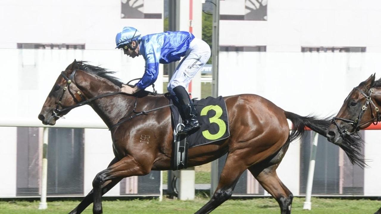 Thoroughbred racehorse Farcited is pictured winning the Black Opal Stakes Preview on debut. Picture: Bradley Photography