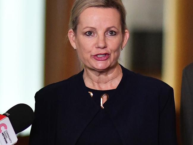 Environment Minister Sussan Ley has had a victory in the federal court. Picture: Sam Mooy/Getty Images