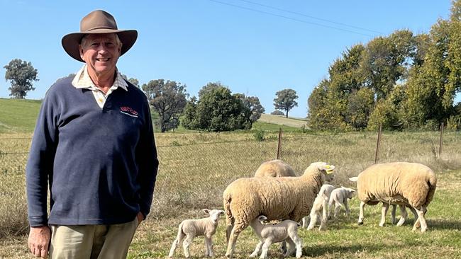 Tony Rutter of "Avon" at Tarcutta in southern NSW with some of his composite ewes. Picture: Nikki Reynolds