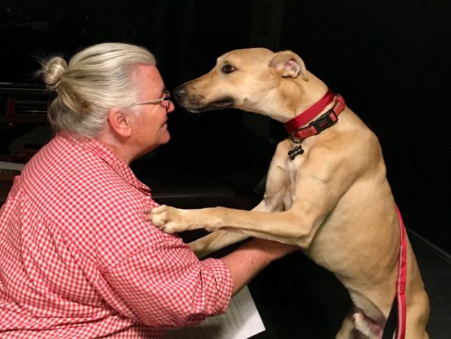 Country Kats and K9s Rescue’s Rhonda Helman with Albert.