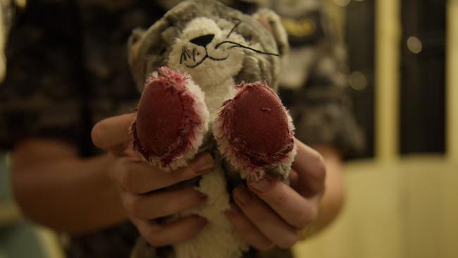 The resident cat onboard the HMAS Perth. Picture: (A)manda Parkinson