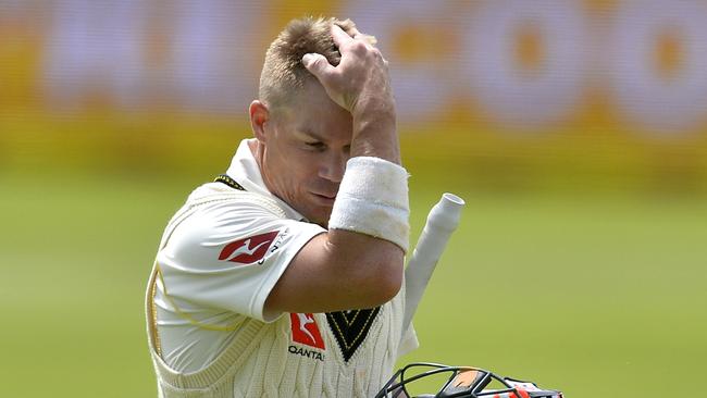 David ‘Sheep’ Warner? David ‘Goose’ Warner? The Aussie vice-captain features in Ando’s Quiz. Pic: Getty