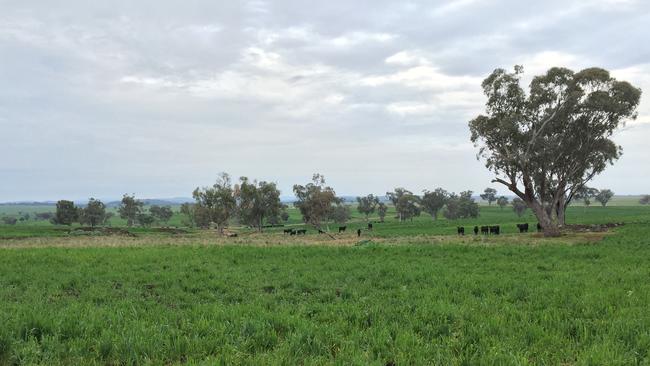 Primarily used for grazing under Paraway Pastoral’s ownership, the Burmah Aggregation will be converted to predominantly cropping. Picture: Supplied
