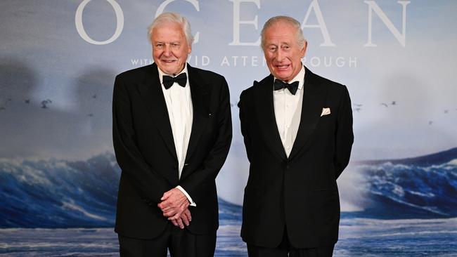 David Attenborough and King Charles at the world premiere for Ocean With David Attenborough in London. Picture: Getty Images for National Geographic