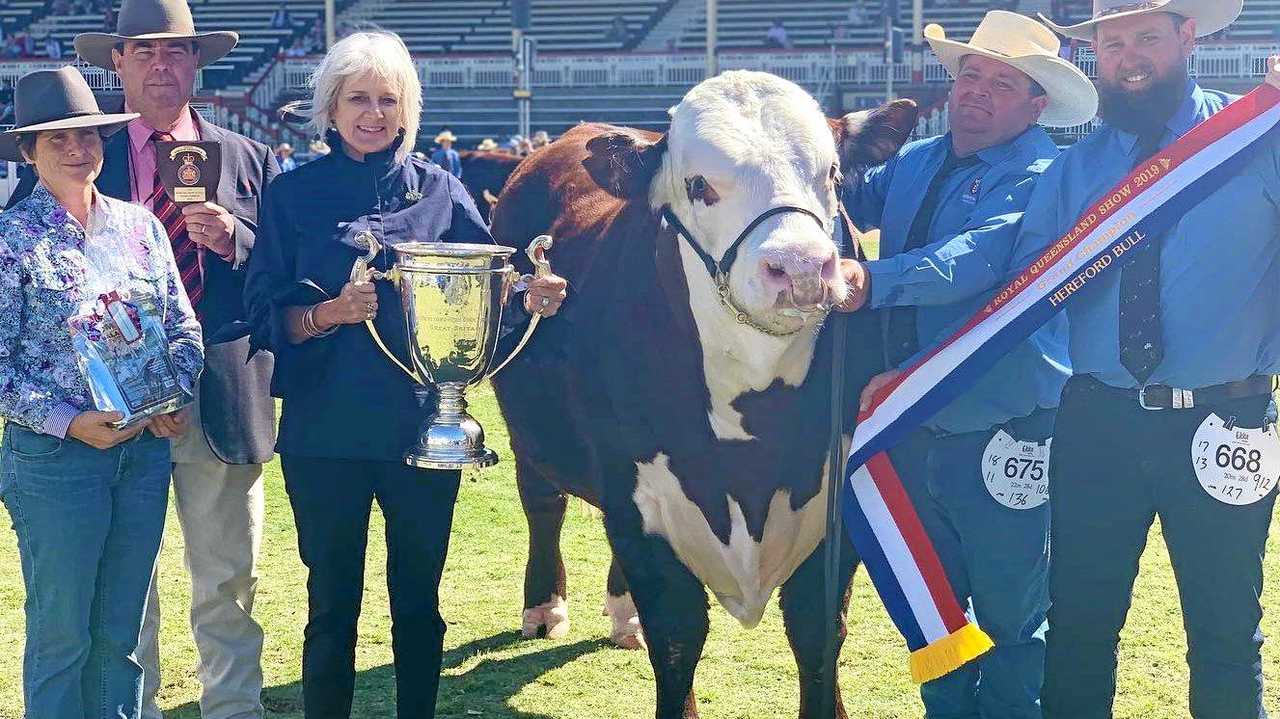 HEREFORD HEROES: Grand champion bull, Advance N142 with Isaac Billiau and Tom Nixon (end right) from Devon Court Beef, Drillham. Picture: Contributed