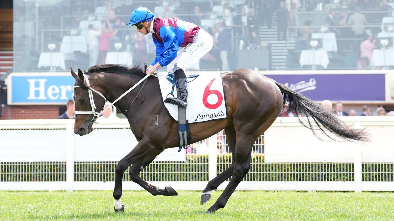 Kandinsky Abstract on the way to the barriers prior to the first at Caulfield on Saturday. Picture: Scott Barbour–Racing Photos via Getty Images