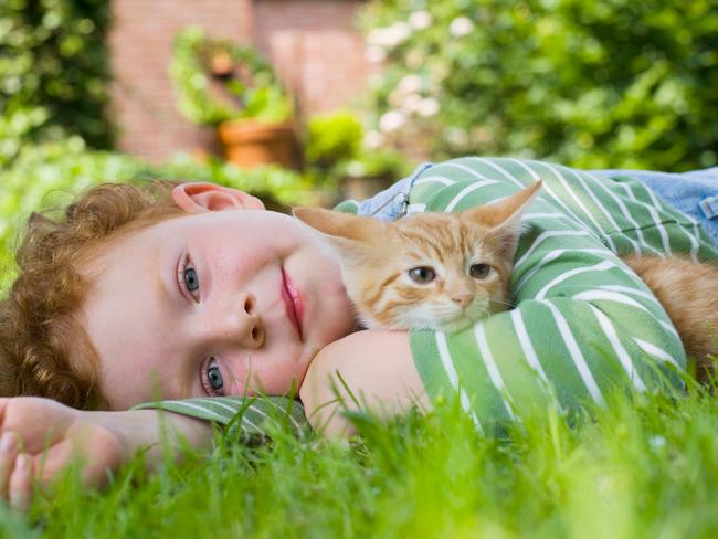 Just like kids, pets need love, attention and care for their entire lives.