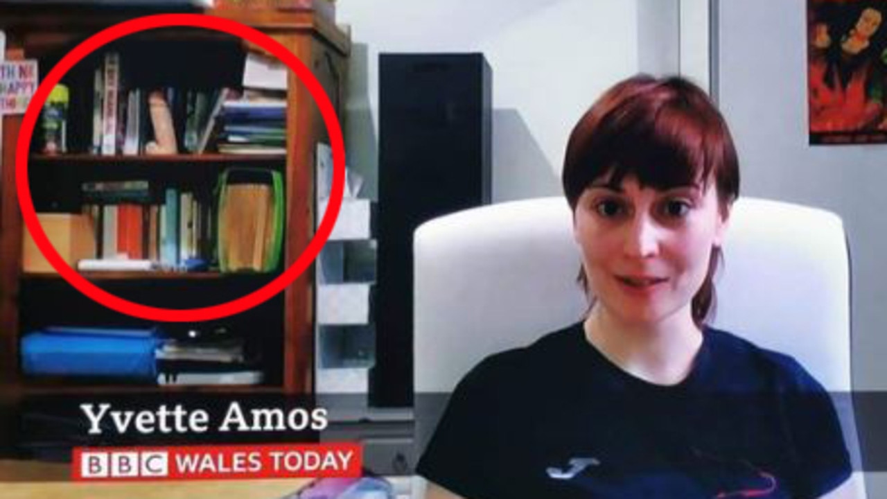 Bbc Guest Goes Viral For Sex Toy In Background During Interview Video The Advertiser